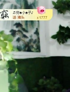 黄老邪-28581主播照片