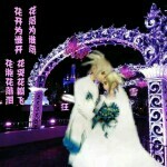 睡神到此一游xh海报