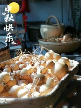 暖心今晚直播主播照片