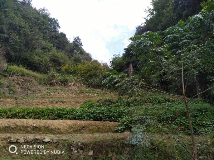 来自大山村姑的主播照片