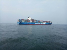 浪子☞逍遥主播照片