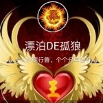 ✧漂泊DE孤狼✧