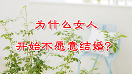 才子感情主播照片