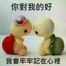 孤雁南飞4n