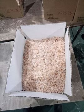 浪子☞逍遥主播照片