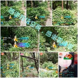 ⭐尐茜茜⭐主播照片