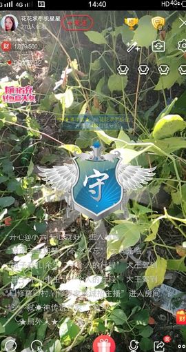 花🐥丫头主播照片