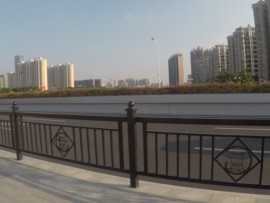 徐生，编导主播照片