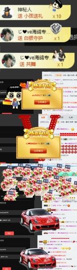 海鸽休息几天主播照片