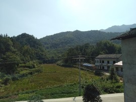淏天、大自然哥主播照片