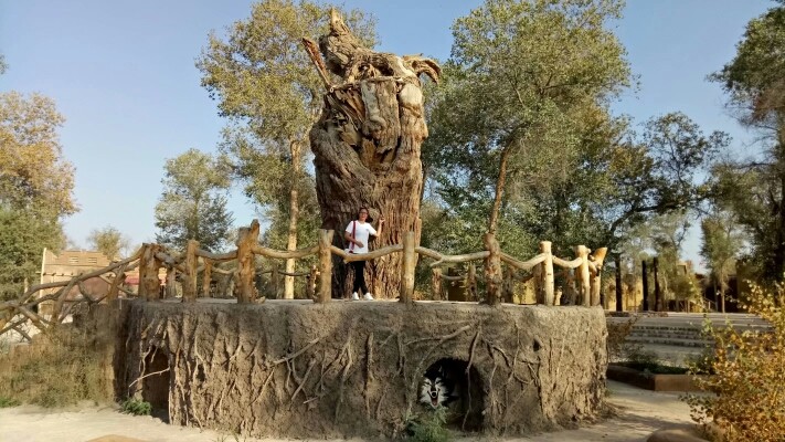 ✨零贞✨的主播照片