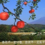 小🐠懒🐠猫
