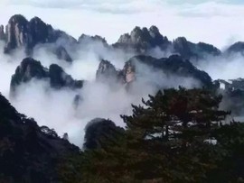 ❀龍叔主播照片