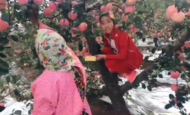 逍遥快活的人主播照片