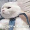 不二先森s海报