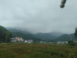 淏天、大自然哥主播照片
