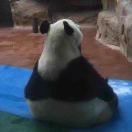姚大东