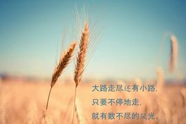 威风糖糖主播照片