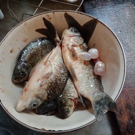 果果(平安好运)主播照片