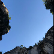 💕大林海报
