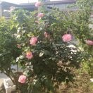 饮水思源之幸福起点
