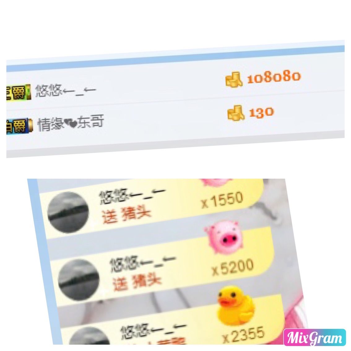 野貓，還是小野貓的主播照片