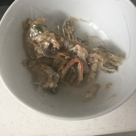 新人21😌主播照片
