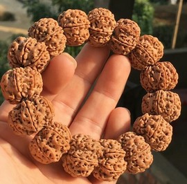 成都酒神哥主播照片