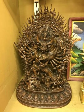 成都酒神哥主播照片