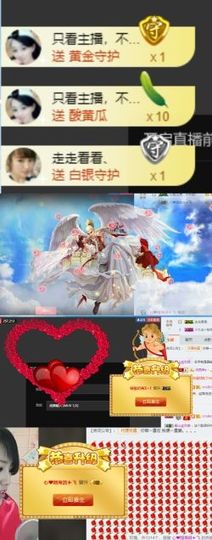 海鸽休息几天主播照片