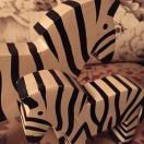 🦓🦓