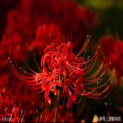 ☆.岁月静好