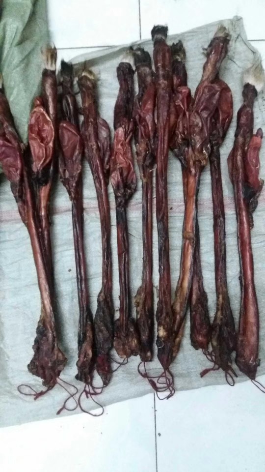 俏不爭(zhēng)春，今晚休息的主播照片