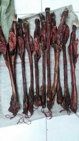 俏不争春，今晚休息主播照片