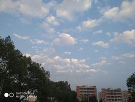 宝贝萧萧爱你主播照片