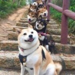 666🍃的头像