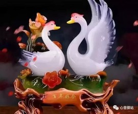 淡淡女人香🌹主播照片