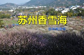 马伍也主播照片