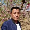 绽放草原上的疯狂海报