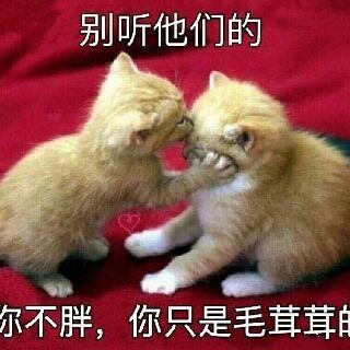 有你的地方就有幸福的主播照片