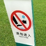 💎💦⭐丫丫内服海报
