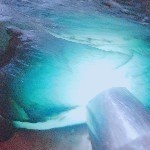 @精品翡翠毛料的主播照片