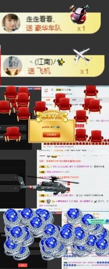 海鸽休息几天主播照片