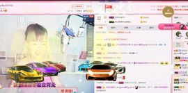 一只雁~主播照片