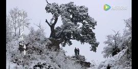 傲世英雄6主播照片