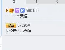 野貓，還是小野貓的主播照片