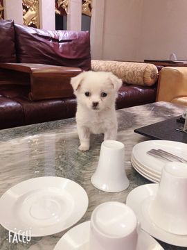 嘚瑟💗主播照片
