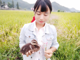 一生有你3042主播照片