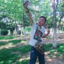 骆新