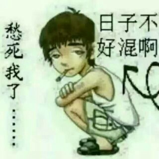 天缘之狼的主播照片